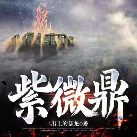 紫微鼎